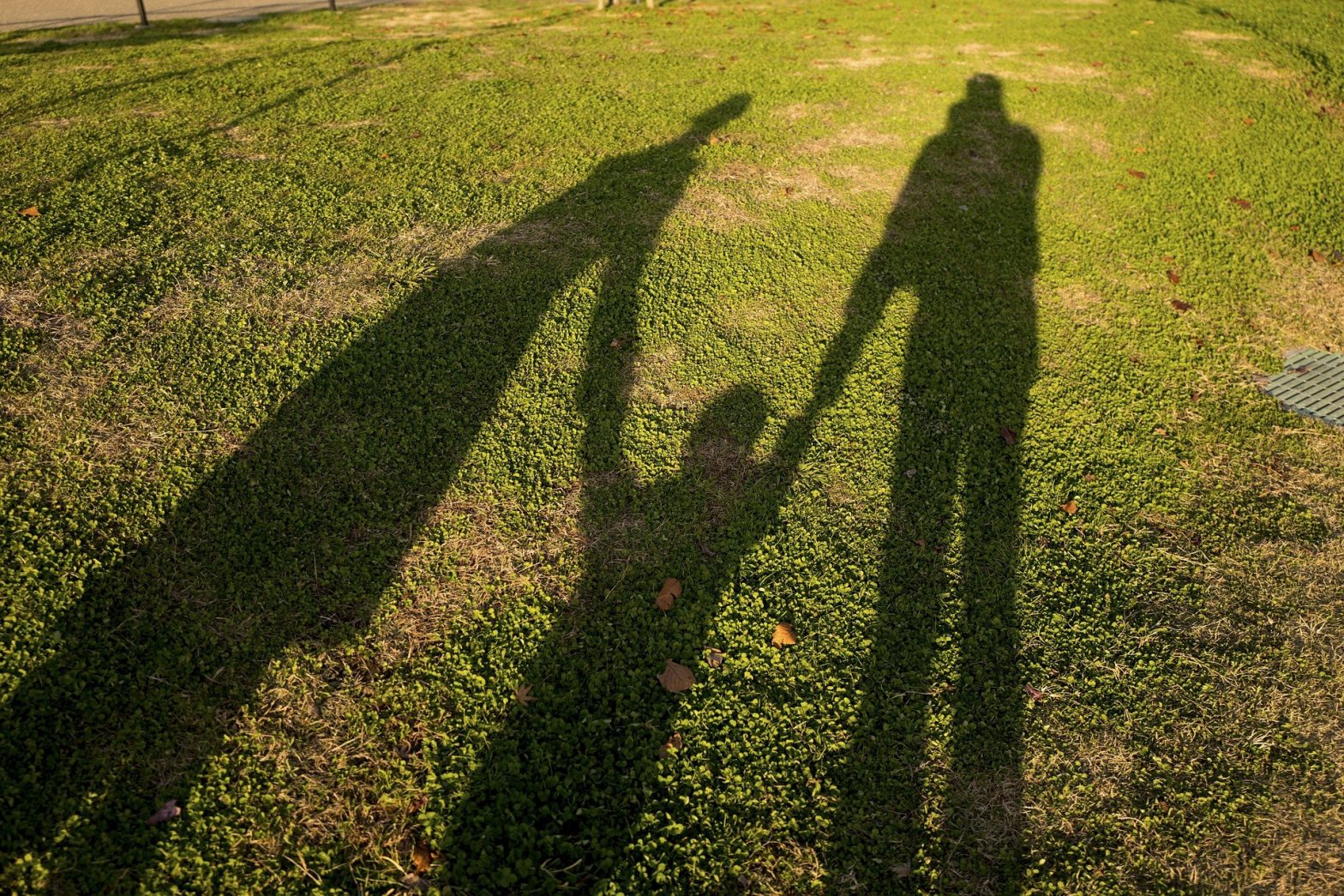 Life Insurance Myths vs. Facts – And the Real-Life Impacts for Your Family